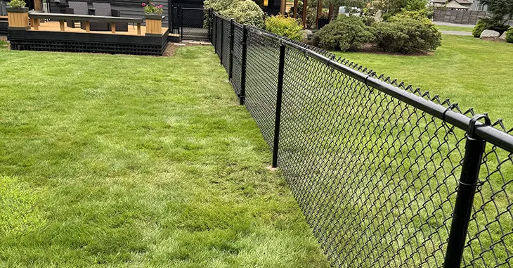 chain-link-fence